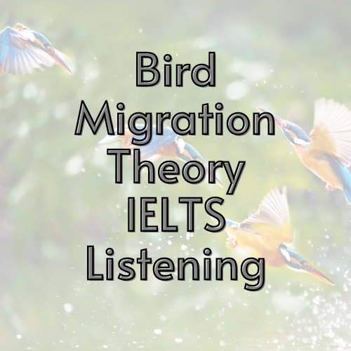 Bird Migration Theory: IELTS Listening With Answers